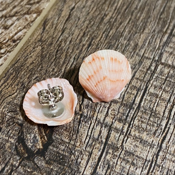 Authentic Real Seashells Earrings Jewelry Pensacola Florida Beach Sea Shells - Picture 3 of 5
